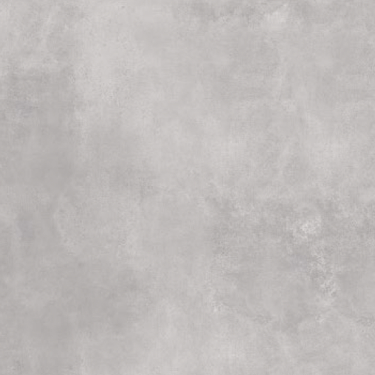 Borneo Grey