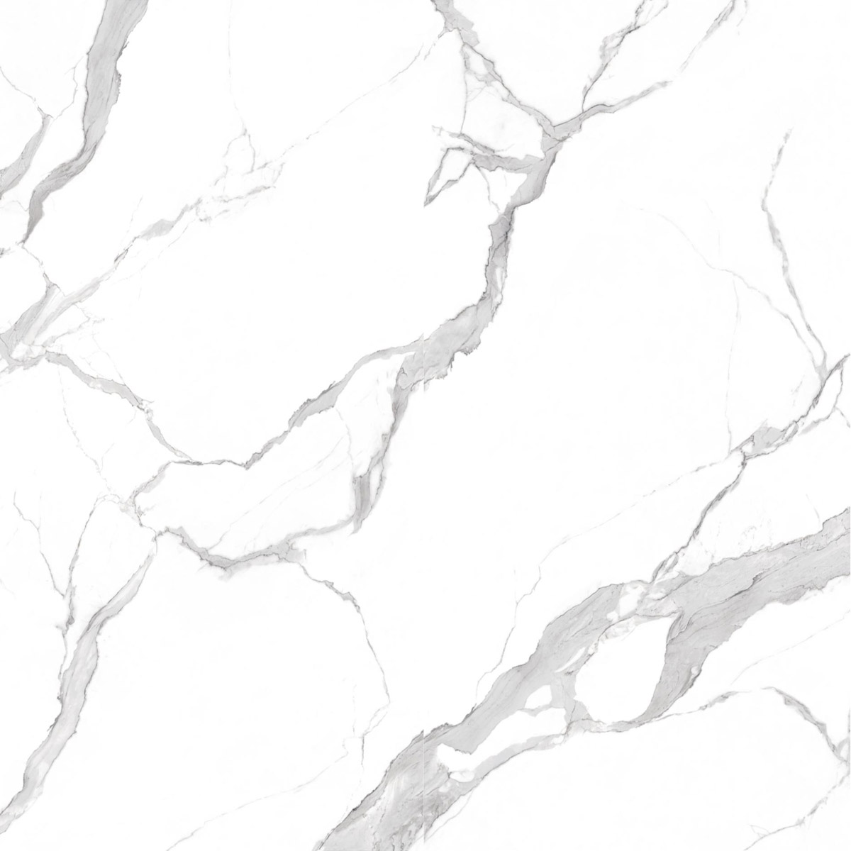 Calacatta Grey
